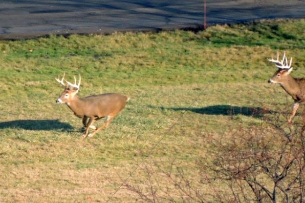 c1058de7-6cd3-47d0-abcd-ae768cb6958f