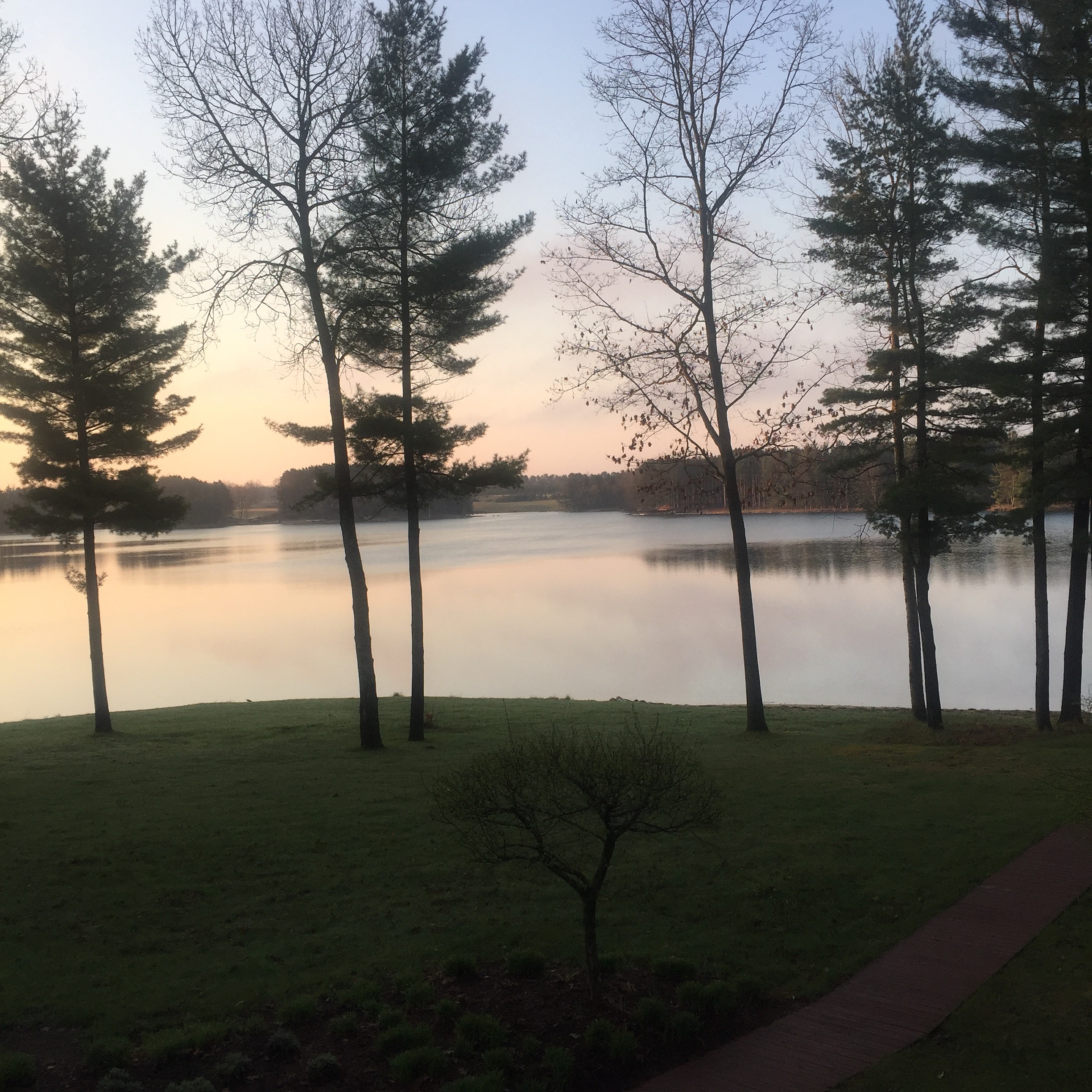 2016-05-05 06.59.49-2